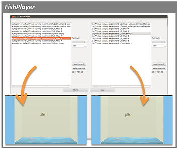 FishPlayer_preview