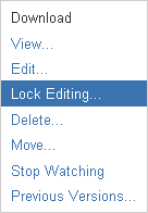 The Lock Editing menu-option