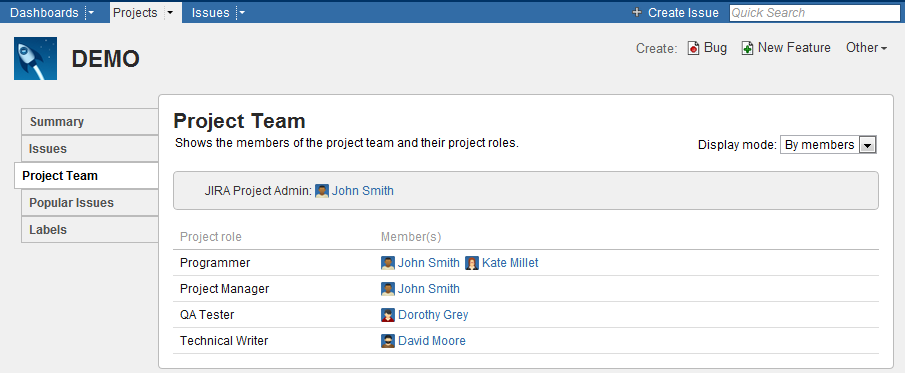 The project team displayed by project roles