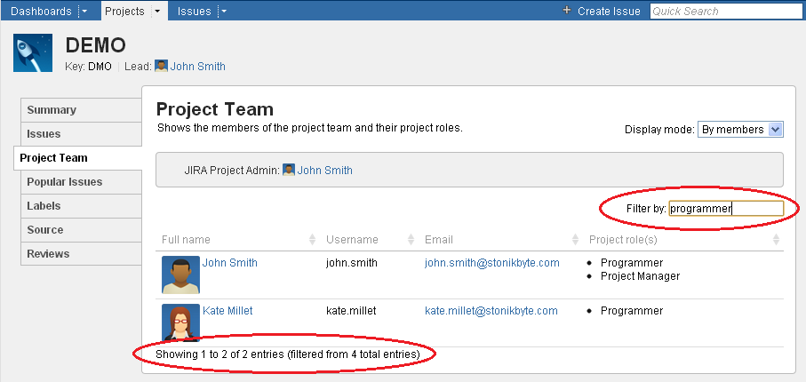 Filtering data in the Project Team table