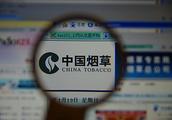 重新认识烟草行业
