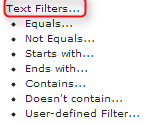 Text Filters