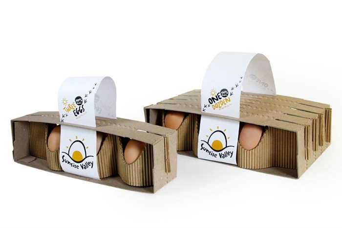 Modular Egg Packaging.jpeg