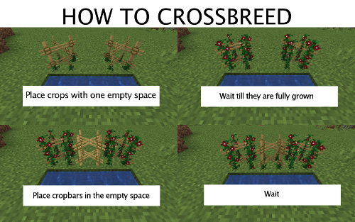 how_to_crossbreed.png