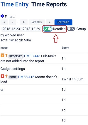 Time Reports detailed