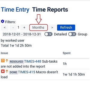 Time Reports view months